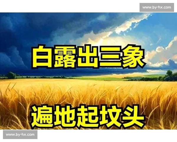 白露时节的气候变化与农事活动对自然生态的深远影响探析